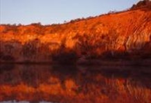 Riverboats on the Murray River